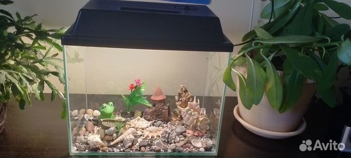 Аквариум