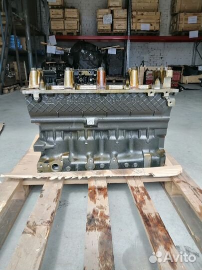 Блок цилиндров 245-1002009-Г ммз газ