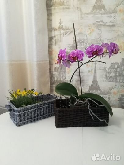 Плетеный короб-органайзер. Корзина подарочная