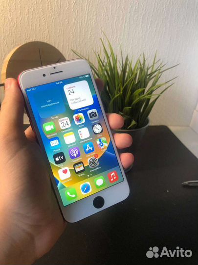 iPhone 8 red 64