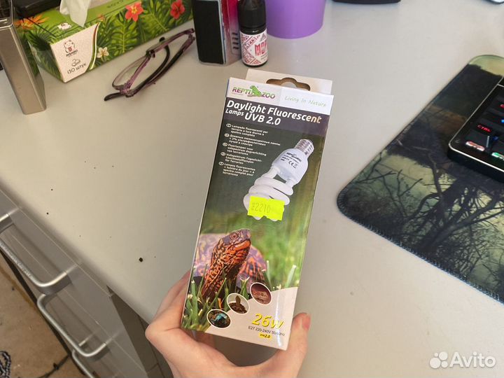 Ультрафиолетовая лампа