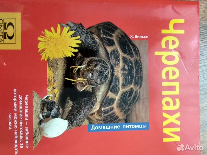 Книга черепаха