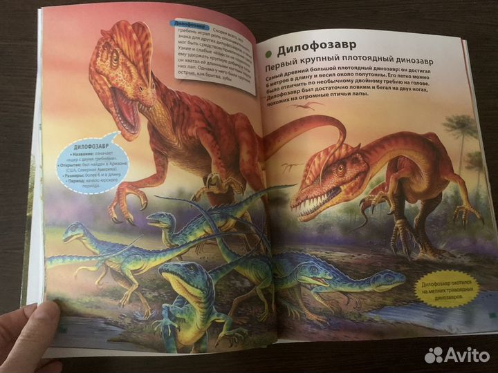 Книги о динозаврах