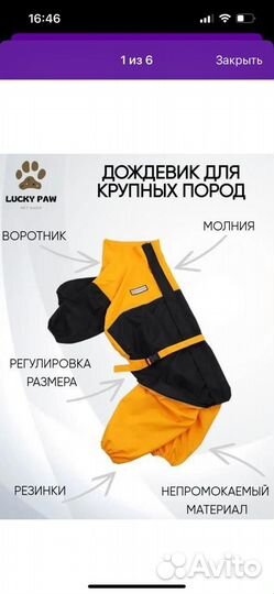 Дождевик для собак