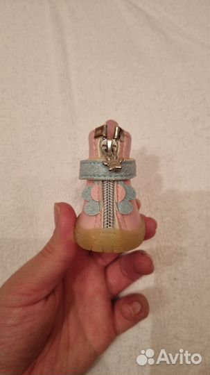 Обувь для собак мелких пород