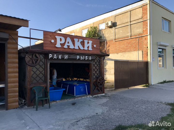 Раки