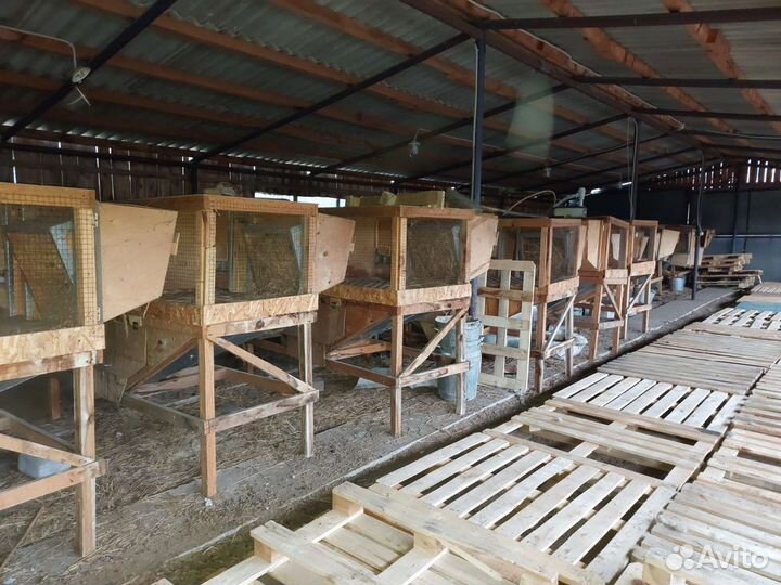 Клетки для кроликов бу