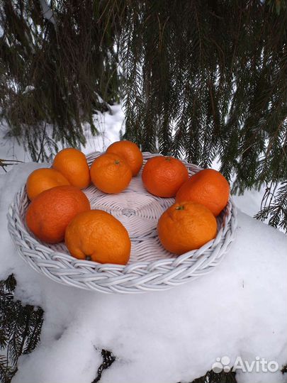 Плетёная хлебница