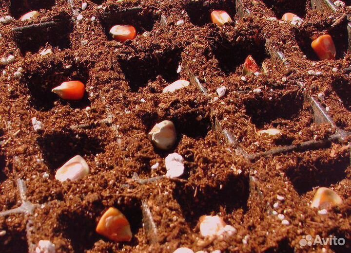 Грунт растительный