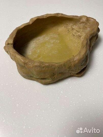 Купальня для рептилий