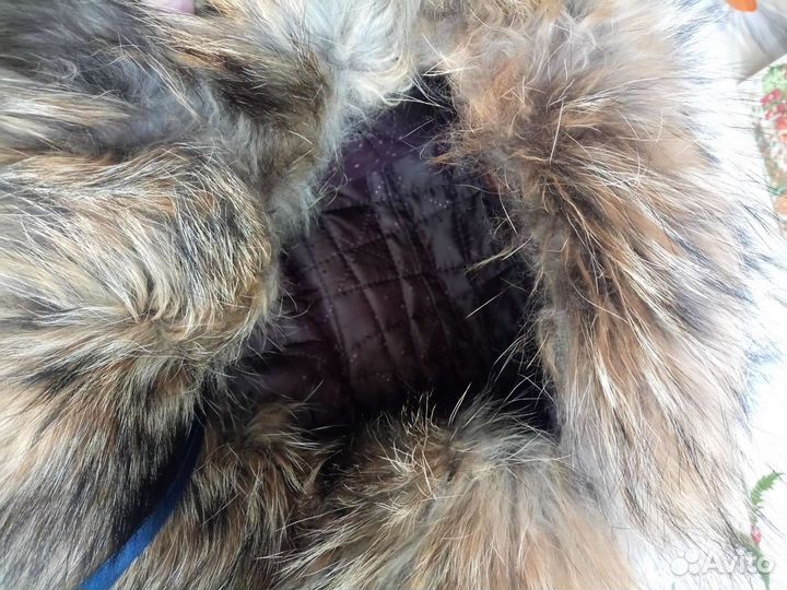 Шапка зимушка енотовидная собака