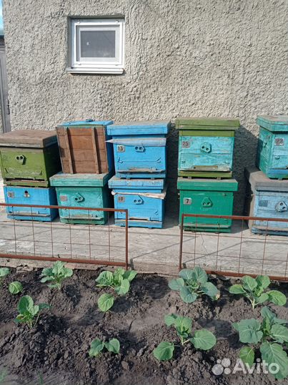 Ульи для пчел бу на 12рамок