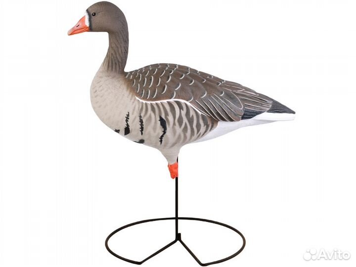 Набор гусей Pro-Grade Full Body Specklebellies