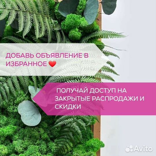 Лента из стабилизированного мха