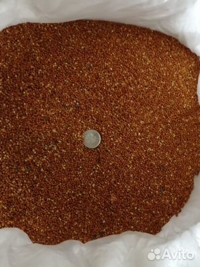 Корма для сельскохозяйственных животных