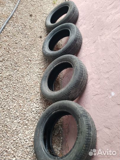 Accelera Alpha 185/60 R14 19