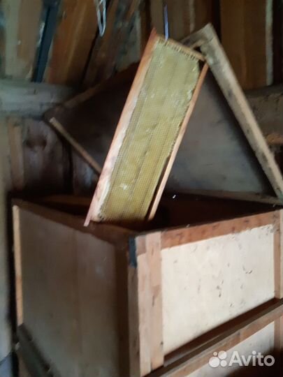 Ульи для пчел с рамками