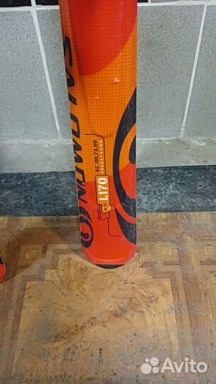 Горные лыжи