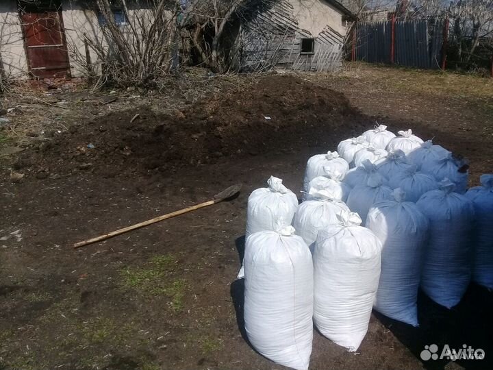 Отличный голубиный помет