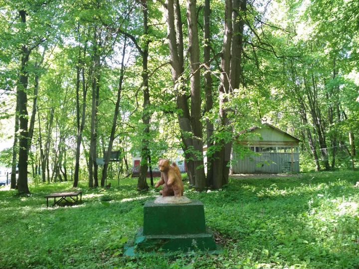 Участок 4 га (ИЖС)