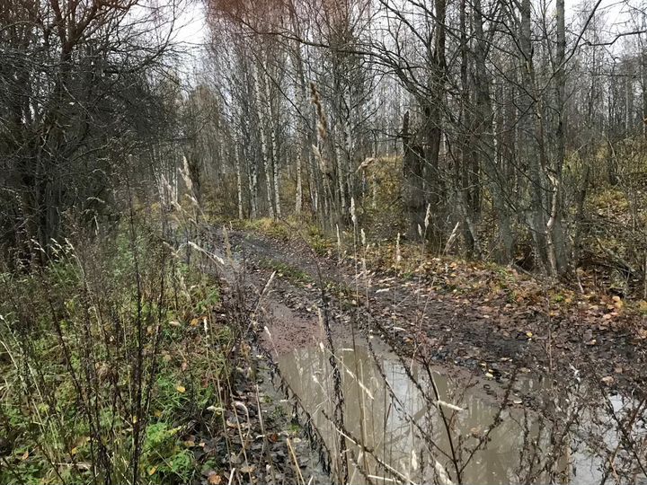 Участок 1,7 га (СНТ, ДНП)