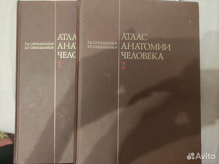 Атлас анатомии человека синельников том 1