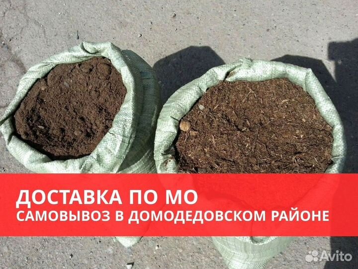 Грунт для голубики и хвойных растений