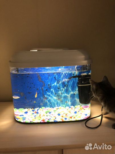 Аквариум б/у