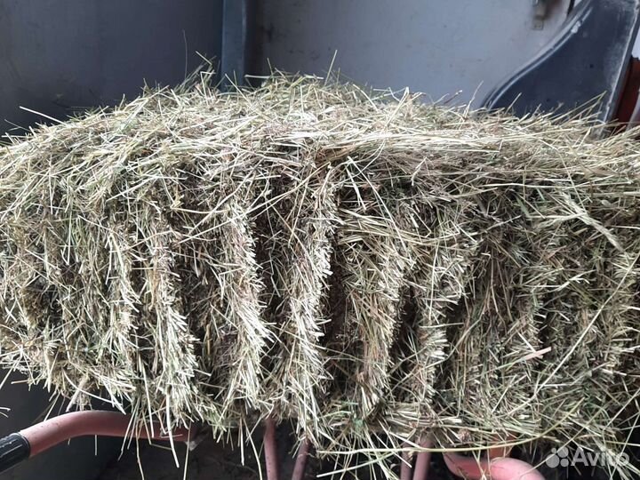 Сено в тюках