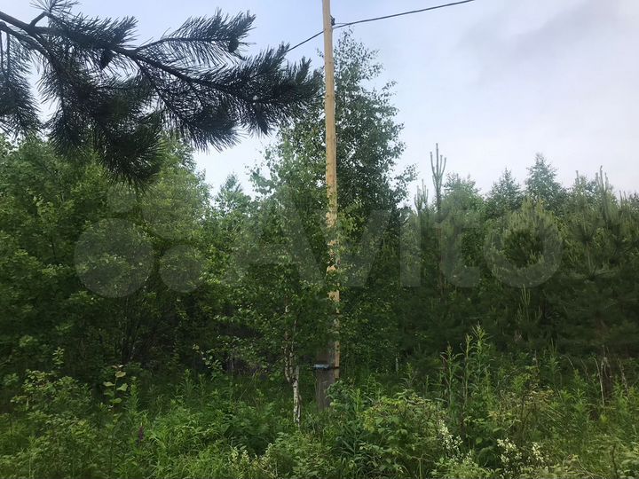 Участок 9,8 сот. (СНТ, ДНП)