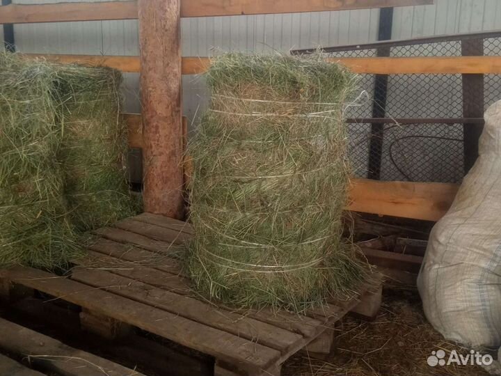 Сено в рулонах 2023