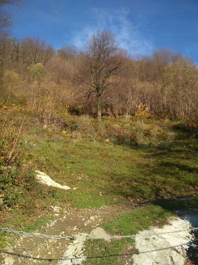 Участок 12 сот. (СНТ, ДНП)