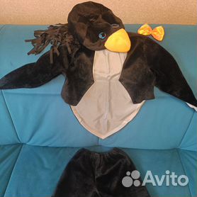 Карнавальный костюм Ворона универсальный купить по выгодной цене в интернет магазине Хлопушка. ру.