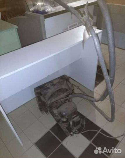 Цветочная холодильная витрина