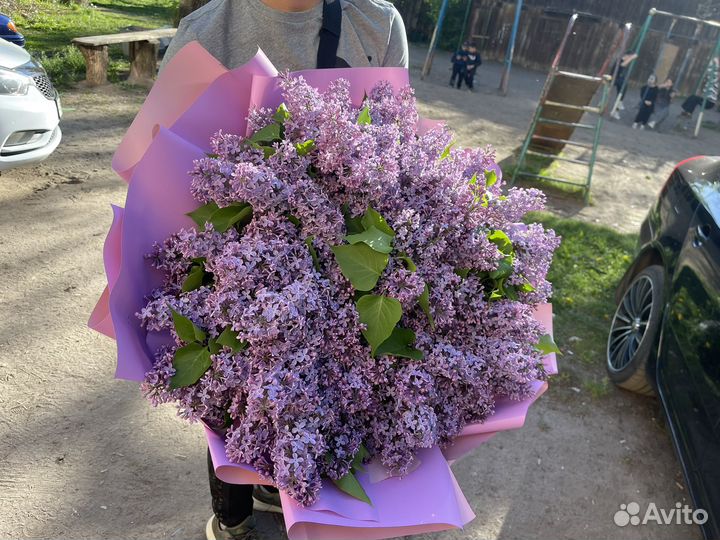 Сирень Букет из сирени