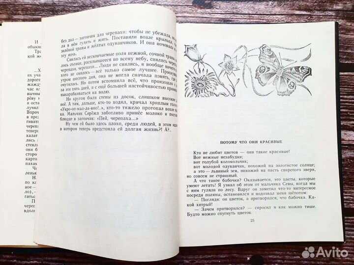 Лев. Пять дней из жизни черепахи 1980 г