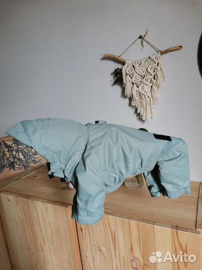 Комбинезон для маленькой собаки