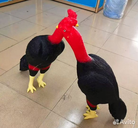 Бойцовый петух