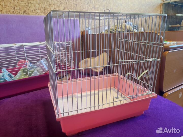 Клетка для хомяка и попугая бу
