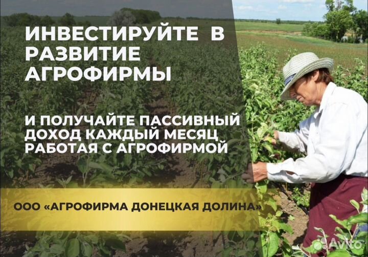 Инвестиции в развитие бизнеса