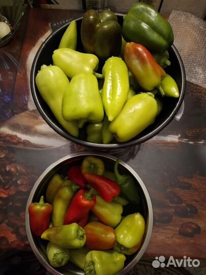 Сладкий перец