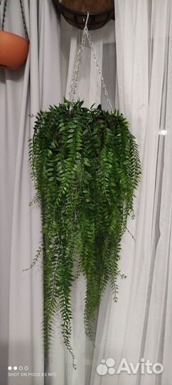 Искусственная зелень, подвесные сады