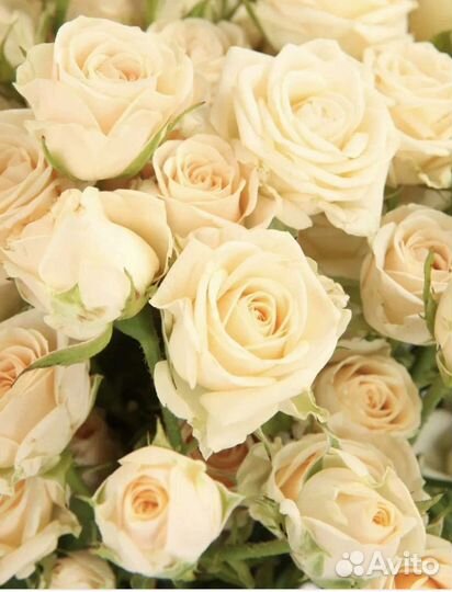 Продавец в цветочный магазин