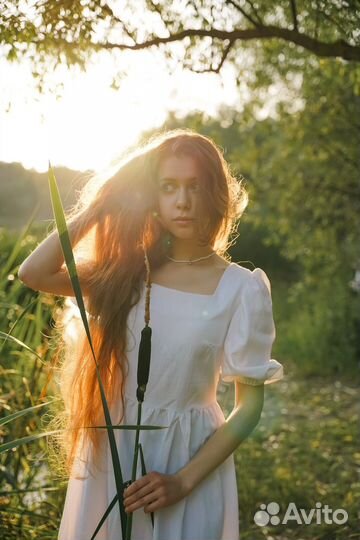 Выгул и передержка собак