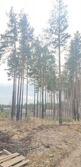 Дом 200 м² на участке 10 сот.