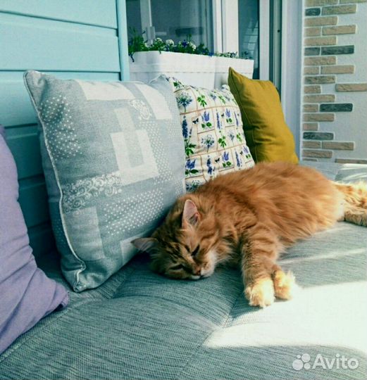 Мастер Felix Лучший мастер ;)