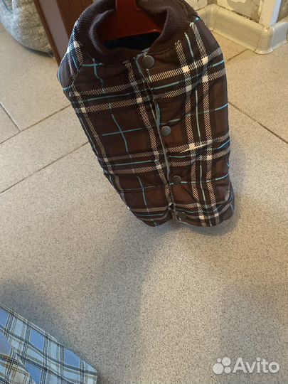 Куртка для собак