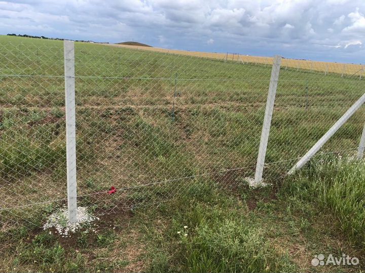 Забор из сетки Рабица