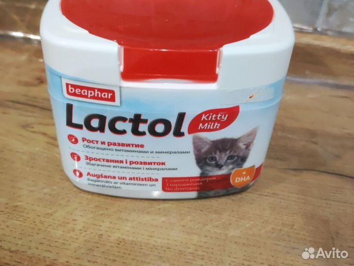 Корм для котят