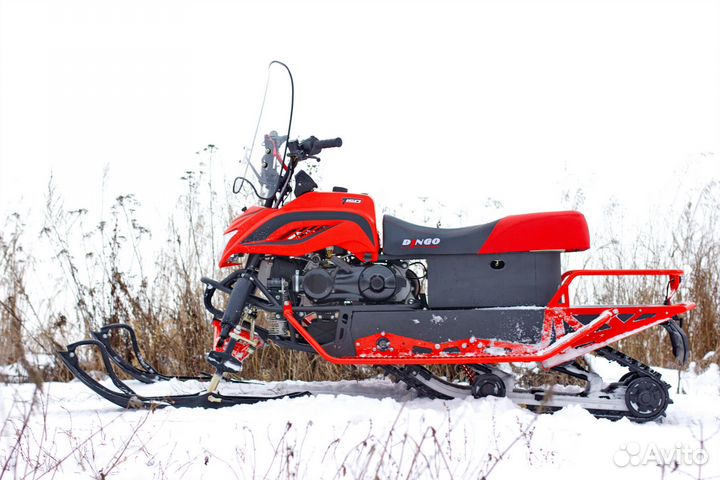 Снегоход dingo T200 2022